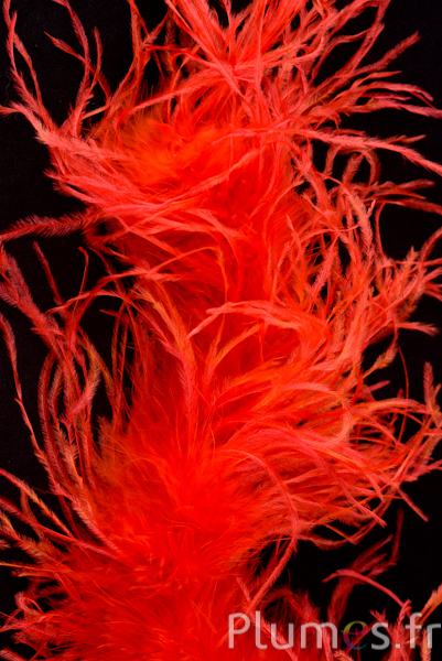 Autruche mèche  - 10 cm - rouge